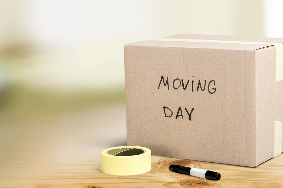 DIY Downsizing: The Best Tips and Tools for Your Move